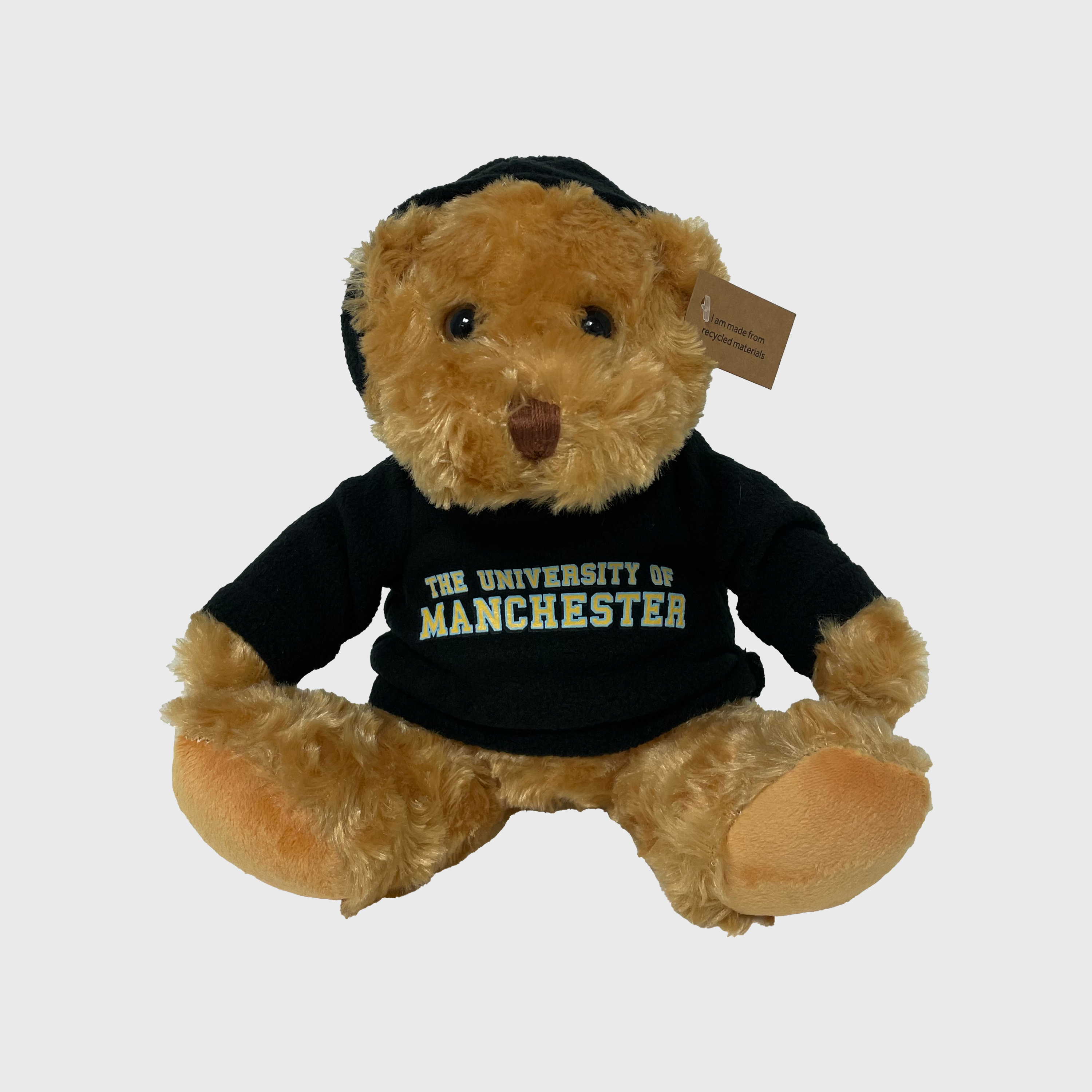 Luxury Bear with Hoodie